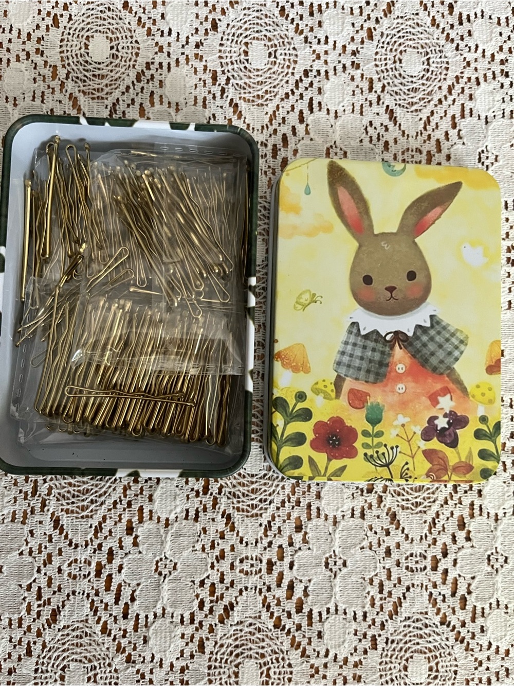 Bobby Pins in Cute Bunny Case